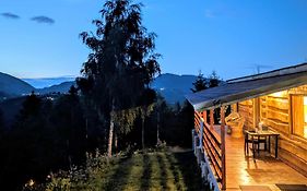 Cabana Doi Mesteceni